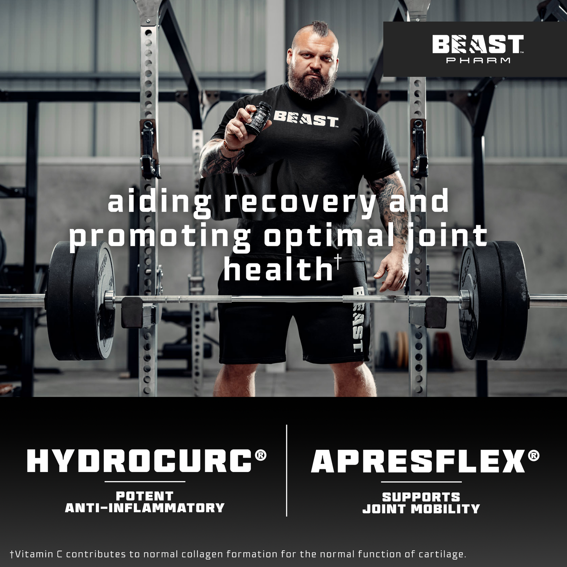 BIG JOINT - Advanced Joint Support - RXROX