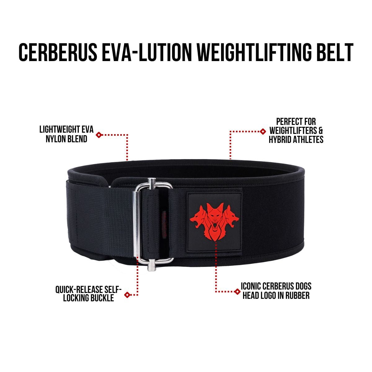 EVA-LUTION Weightlifting Belt - RXROX