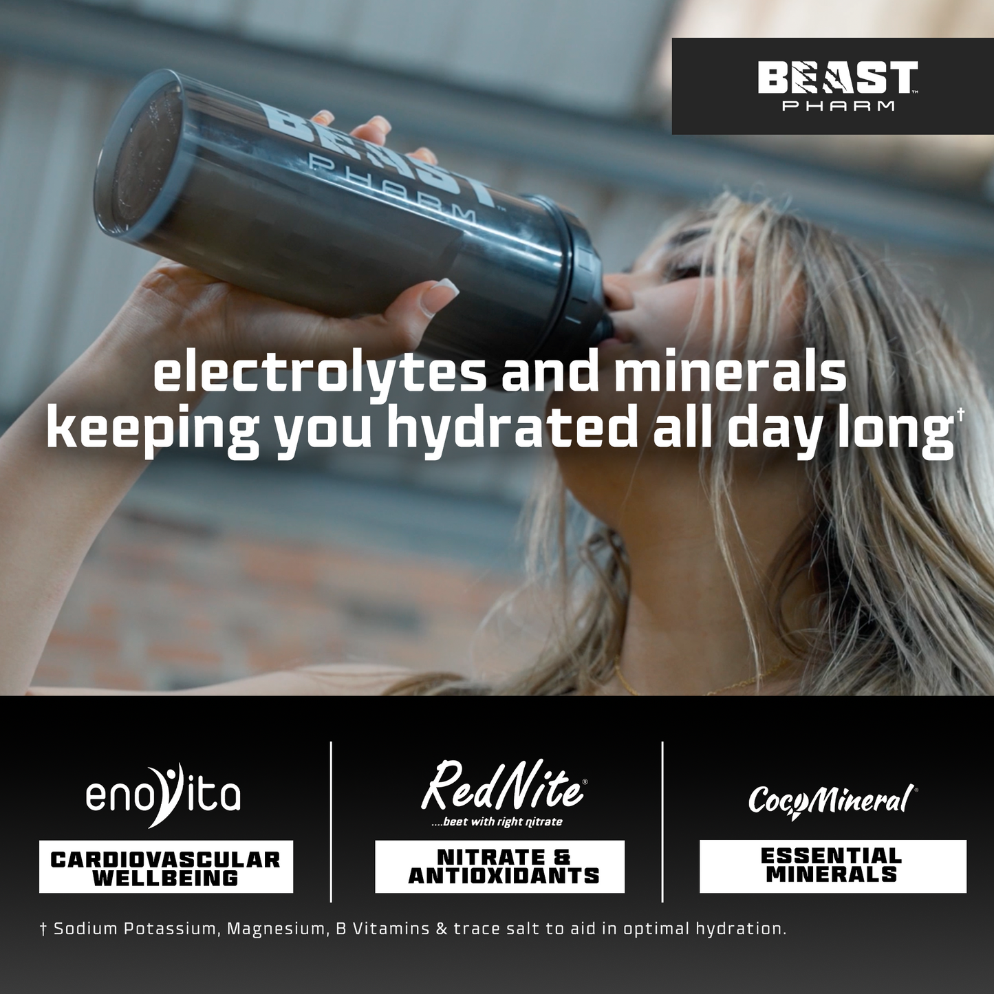 HYDRO Hydration and Electrolytes - RXROX