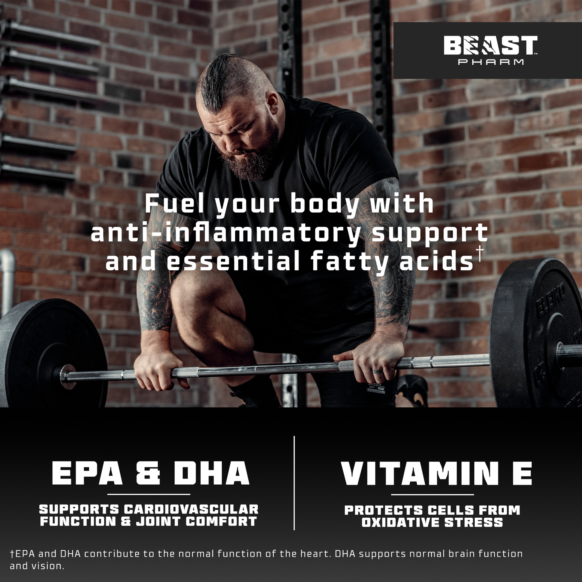 Omega 3 Pro - Hyper Pure Fish Oil with 600mg EPA & 300mg DHA - RXROX