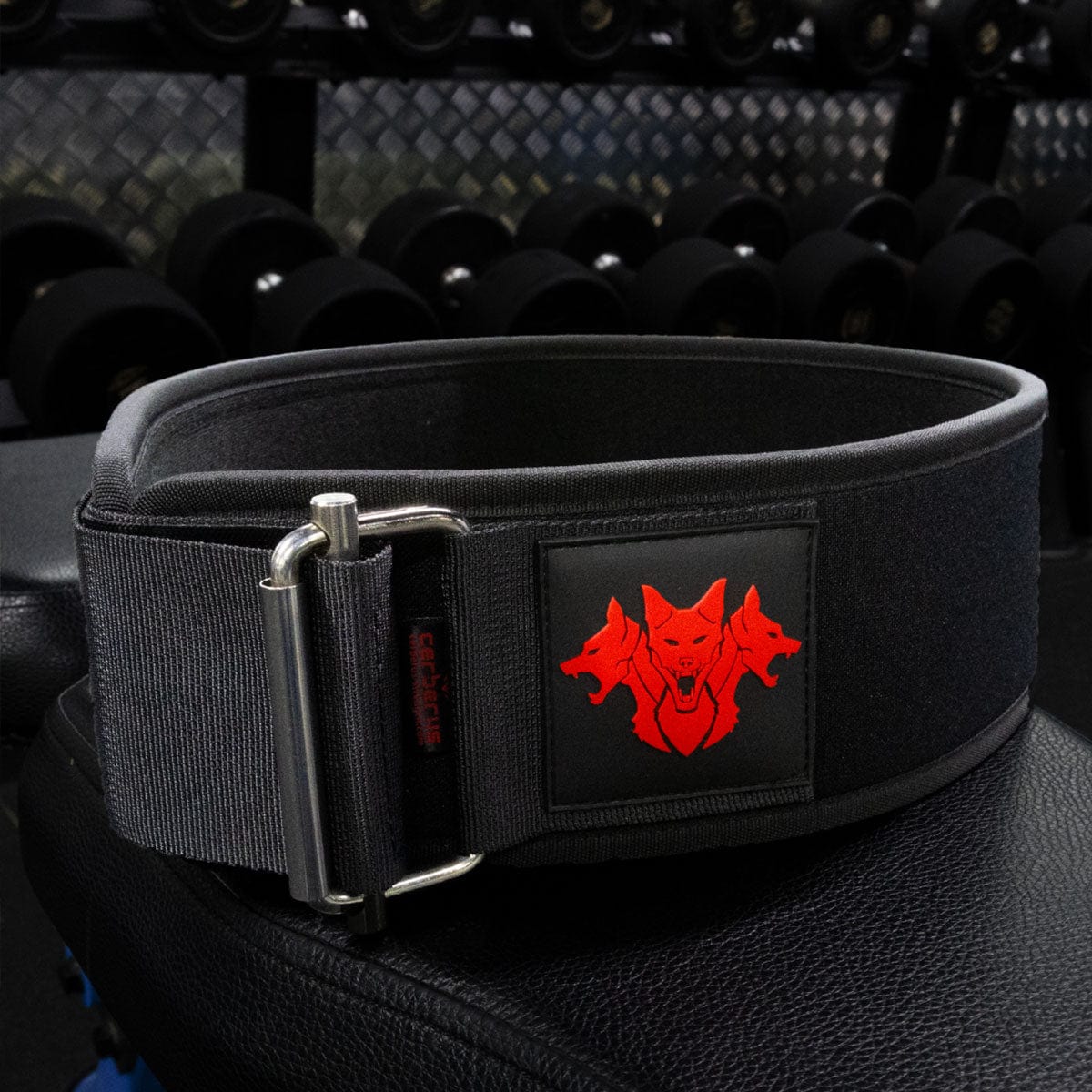 EVA-LUTION Weightlifting Belt - RXROX