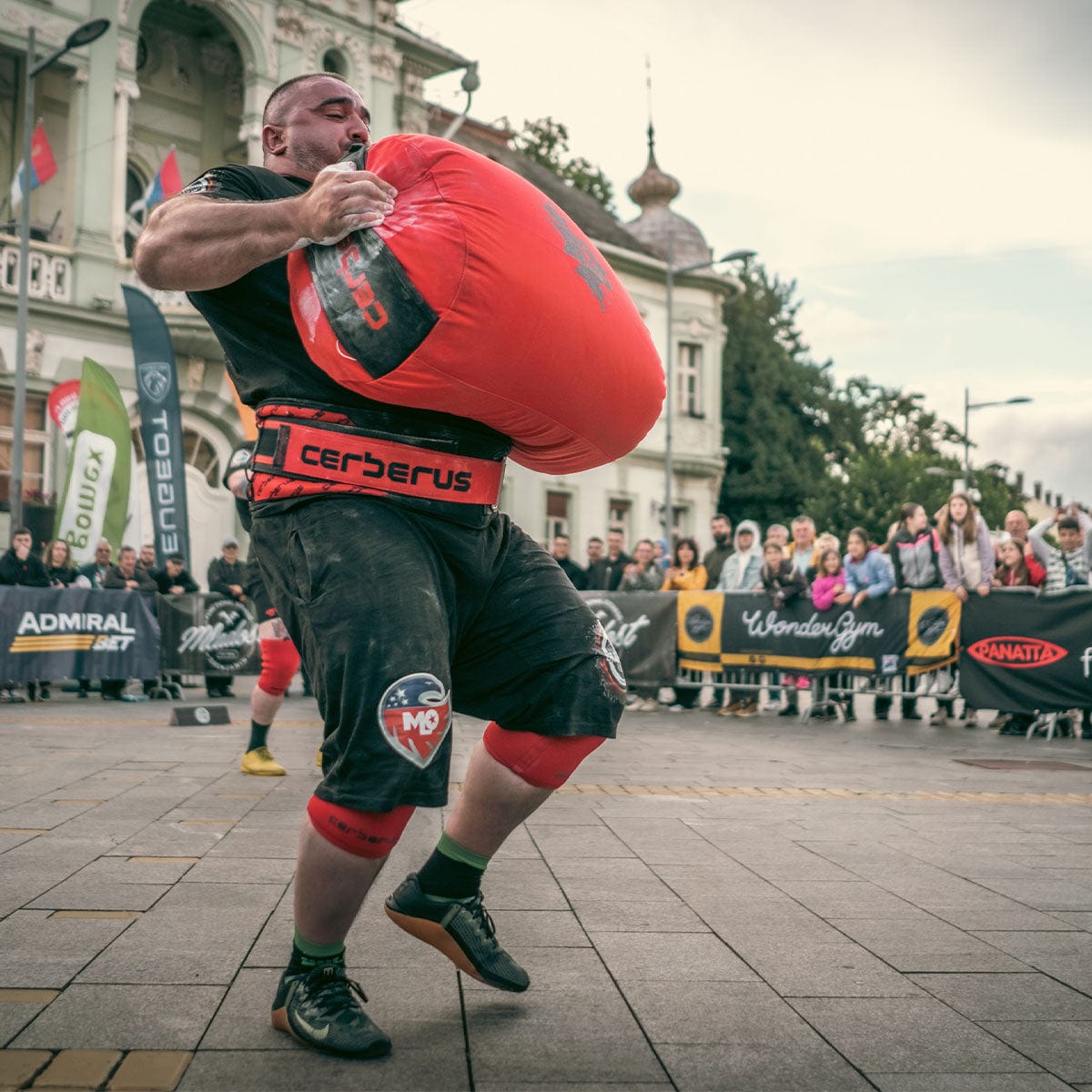 Triple-Ply Deadlift Belt - RXROX